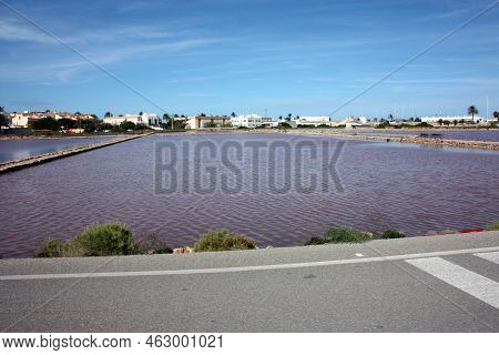 The Natural Reserve Of The Salinas Of Ibiza And Formentera A Spectacle Of The Balearic Islands In Sp