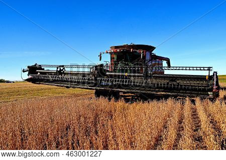 Mayville, North Dakota, September 26, 2022: The Red Self-propelled Combine Harvesting Soybeans Is A 
