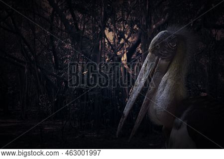 Lesser Adjutant Stork Bird Standing Over Spooky Dark Forest With Tree, Leaves And Vine, Halloween My