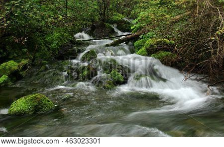 Kolsai Alpine River With Stones In The Forest In Summer. A Mountain River Flows In The Mountains Amo