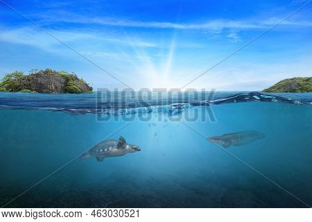 Blue Under Water Waves And Bubbles. Beautiful White Clouds On Blue Sky Over Calm Sea With Sunlight R