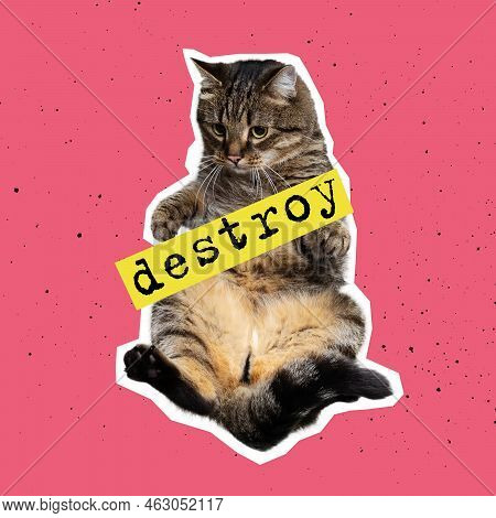 Contemporary Art Collage, Design In Magazine Style With Cat Isolated Over Color Background. Animals 