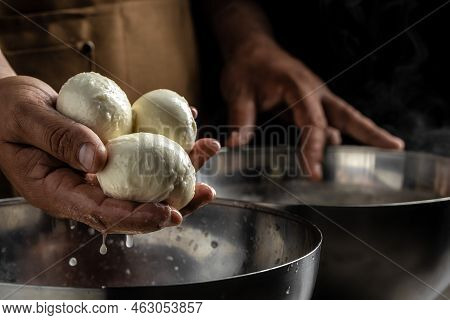 Traditional Italian Mozzarella In Hand. Cheesemaker, Showing Freshly Made Mozzarella.