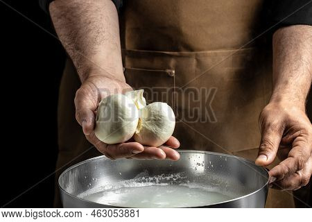 Traditional Italian Mozzarella In Hand. Cheesemaker, Showing Freshly Made Mozzarella.