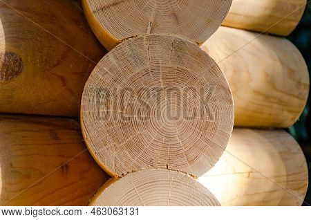 Cut Of Log Close-up. Annual Rings On Cut Of Wood. Construction Of Houses From Natural Materials.