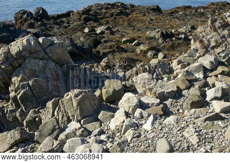 Various Size Rocks And Stones, Some Covered With Seaweed In Sunshine On Coast Of Atlantic Ocean In M
