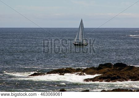 A Sailboat Floats Close To The Rocky Coast Line Of The Atlantic Ocean In Ogunquit Maine On A Sunny A