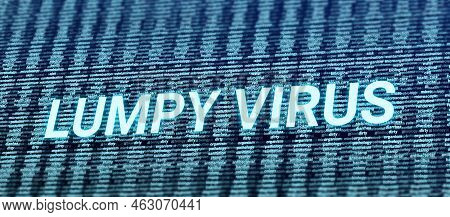 Lumpy Virus Blue Bright Word On Health Care Related Words. Health Care Awareness Illustration.