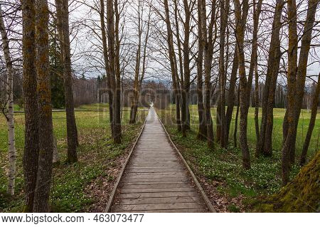 Sumava Protected Landscape Area In The Czech Republic In Europe. Area Chalupska Slat - Forests, Mead