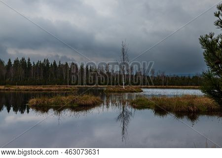 Sumava Protected Landscape Area In The Czech Republic In Europe. Area Chalupska Slat - Forests, Mead