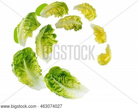 Spiral Flying Heap Of Green Baby Cos Lettuce Salad Leaves Isolated Transparent Png