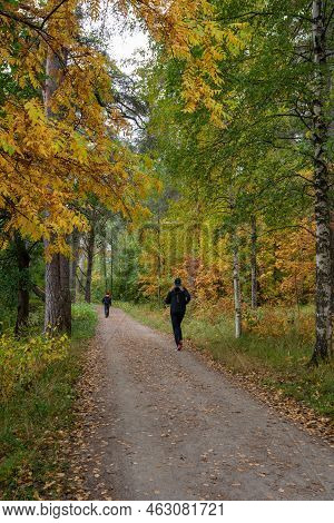 Unrecognized People Walking And Hiking In The Forest In Autumn Season. Kuopio Finland Europe