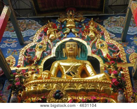 Buddha