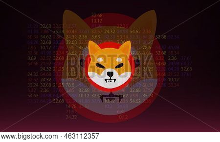 Shiba Virtual Currency Visuals On A Colorful Background. 3d Illustrations.