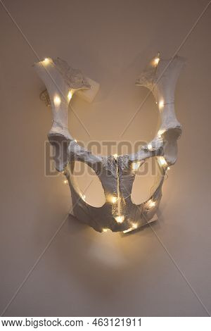 Halloween Cow Skull With Garland Lights Inside On White Background. Halloween Decorations.