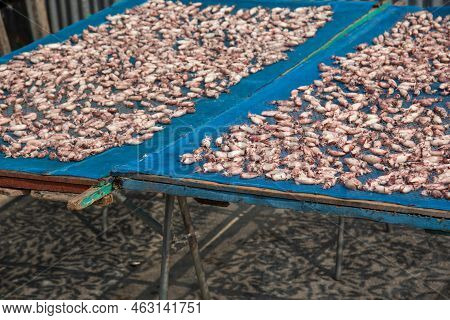 Dried Squid Or Octopus At Thai Seafood Market