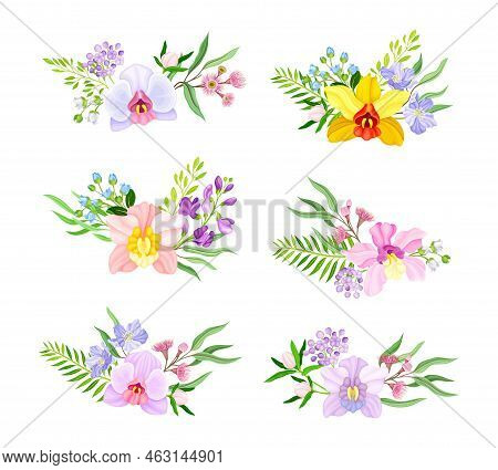 Fragrant Orchid Blooms With Labellum Arranged With Floral Branches Vector Set