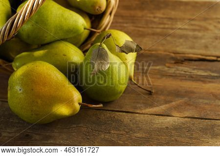Pears On A Wooden Background. Fruit Harvest. Autumn Still Life. Pear Variety Bera Conference.