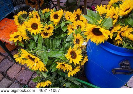 Cut Sunflowers On A Regional Seasonal Market In Autumn With Local Products In Germany, Called 