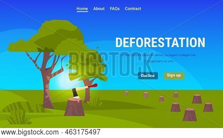 Trees In The Felled Forest With An Ax In Stumps Illegal Deforestation Global Warming Ecosystem Destr