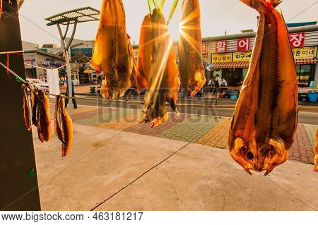 Sokcho, South Korea - June 08 2015 : Different Fish Is Drying Outside In The Sun On A Line Or Rack.