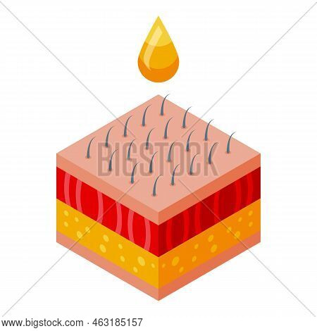 Anti-aging Drop Oil Icon Isometric Vector. Face Skin. Anti Woman