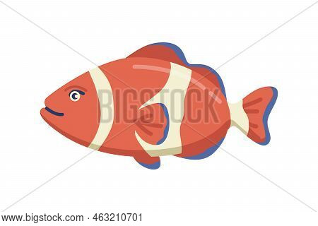 Amphiprion Underwater Animal, Isolated Sea And Oceanic Life And Creatures. Marine Dweller With Color