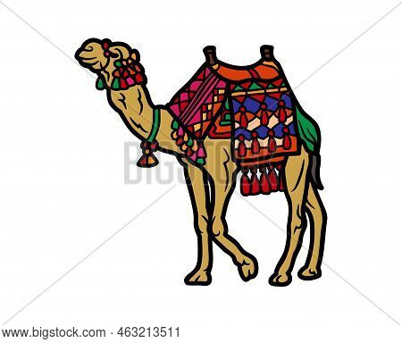 Camel Vector Or Illustration Animals Logo Drawing 3d Graphics Pets Wildlife Colorful Single Camel Si