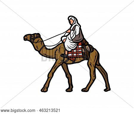 Camel Vector Or Illustration Animals Logo Drawing 3d Graphics Pets Wildlife Colorful Single Camel Si
