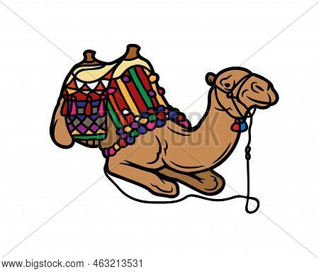 Camel Vector Or Illustration Animals Logo Drawing 3d Graphics Pets Wildlife Colorful Single Camel Si