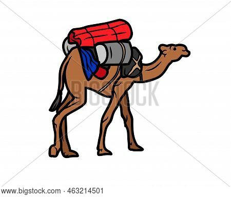 Camel Vector Or Illustration Animals Logo Drawing 3d Graphics Pets Wildlife Colorful Single Camel Si