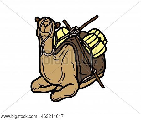 Camel Vector Or Illustration Animals Logo Drawing 3d Graphics Pets Wildlife Colorful Single Camel Si