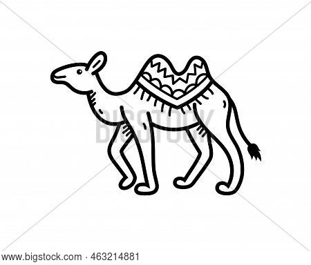 Camel Vector Or Illustration Animals Logo Drawing 3d Graphics Pets Wildlife Colorful Single Camel Si
