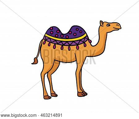 Camel Vector Or Illustration Animals Logo Drawing 3d Graphics Pets Wildlife Colorful Single Camel Si