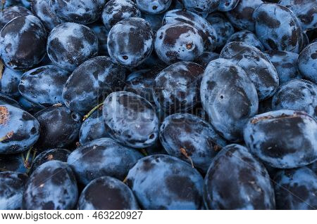 Background Of Fresh Frare Prunes Fruit At Market Stall In Mallorca, Spain