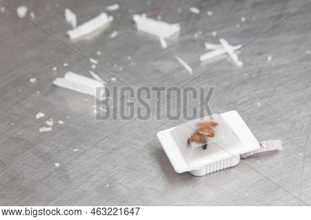 Paraffin Block Containing Biopsy Tissue For Sectioning. Pathology Laboratory. Cancer Diagnosis.