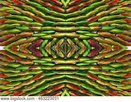 Metallic Green And Red Color Texture Of Jewel Beetle Wings Sternocera Ruficornis For Design, Art. Un