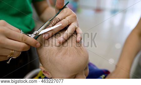 The First Haircut Of A Boy In A Children's Barbershop. Cute Blond Boy In The Barbershop Getting His 