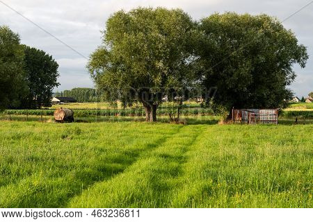 Agriculture Fields, Trees And Green Lawns At The Flemish Countryside , Denderwindeke, Ninove, Flande