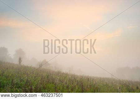 Serene Landscape In The Fog - The Shores Of Lake Otolovo In Belarus