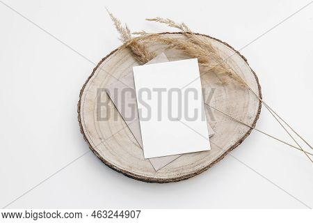 Autumn, Winter Stationery Still Life. Blank Greeting Card, Invitation Mockup On Cut Wooden Round Boa