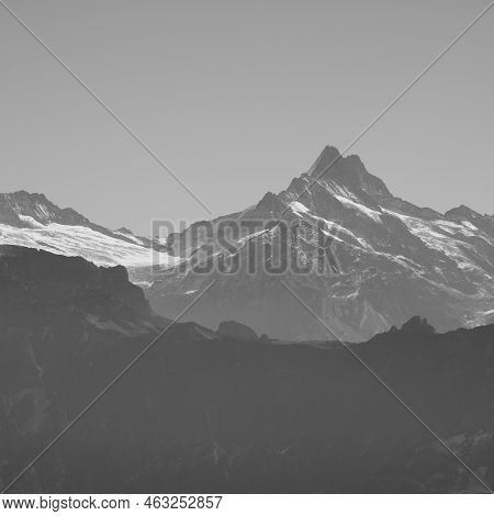 Mount Schreckhorn And Upper Grindelwald Glacier. Switzerland.