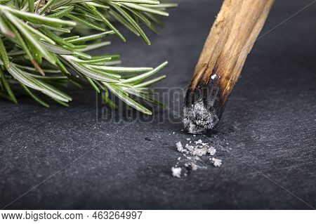 Palo Santo And Rosemary In Front Of Dark Background