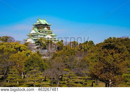Japanese, Tourists, Travelers Walked Around Osaka Castle In Mar 2018 With Dry Tree Around, Oaska, Ja