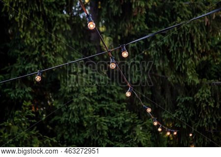 Patio Lights. Lounge Zone. Evening Illumination. String Lamps Hanging On Green Summer Trees Backgrou