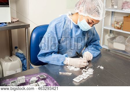 Scientist Preparing Paraffin Blocks Containing Biopsy Tissue For Sectioning. Pathology Laboratory. C
