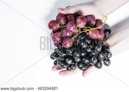 Grapevine, Dark Grapes, Drink, Isolated, Juice, Antioxidant, Raisins, Natural, White, Grapes, Polyph
