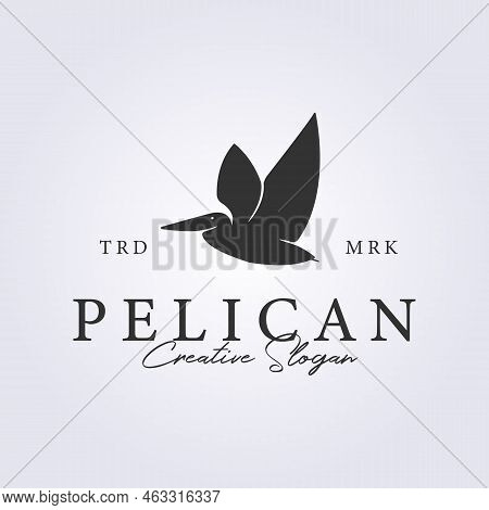 Flying Pelican Bird In Retro Style For Logo Vector Illustration Design, Vintage Pelican