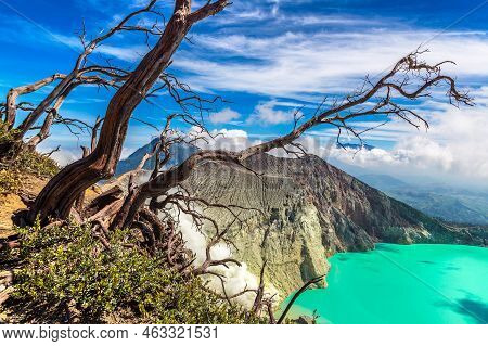 Panoramic Aerial View Crater Of Active Volcano Ijen And Dead Tree, Java Island, Indonesia