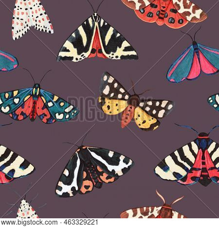Seamless Pattern With Garden Tiger Moths, Arctiidae Family. Watercolor Illustration Of Beautiful Nig